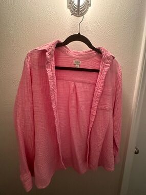 J. Crew Pink Gauze Button-Up Top